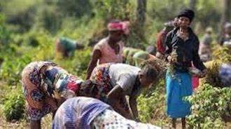 Climate Crisis in Sierra Leone A Nation on the Edge